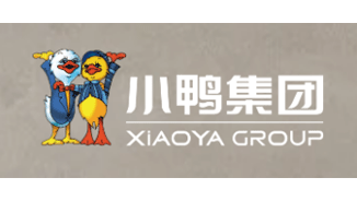 知名用户：小鸭集团